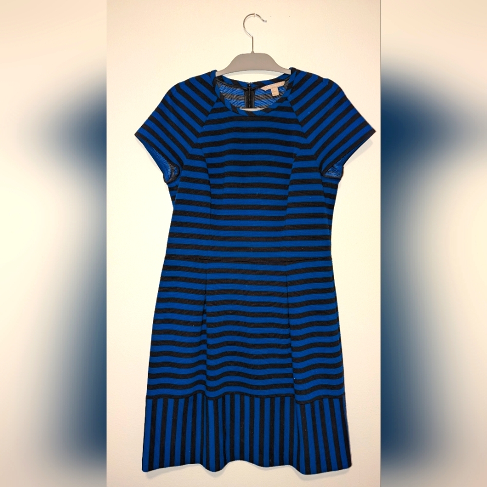 Banana Republic Blue/Black Stripe Dress